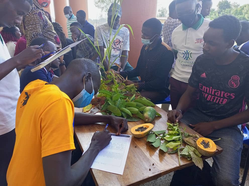 Gulu University Students trained to be ‘Plant Doctors’