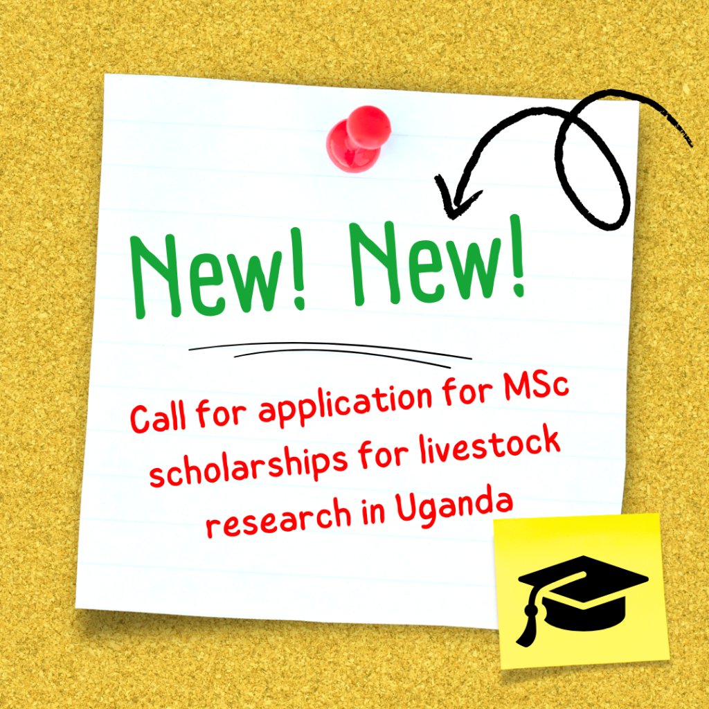 Call for MSc scholarships for livestock research in Uganda